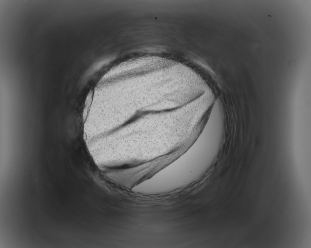 X0000082941448200703020117