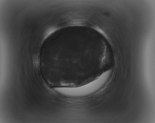 X0000082941450200703020117