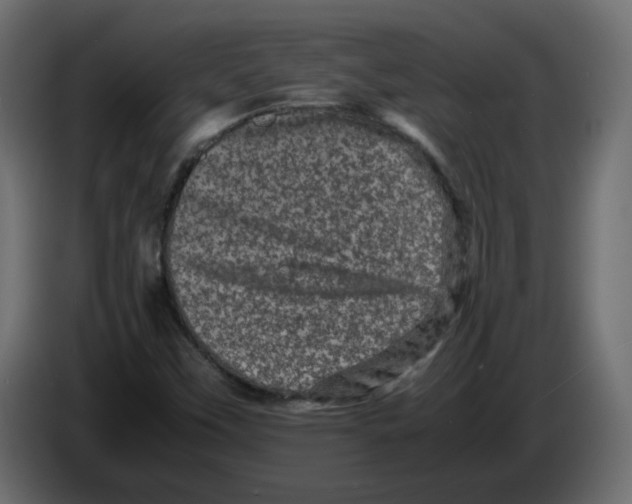 X0000082941451200703020117