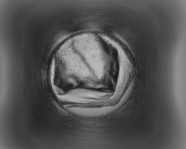 X0000082941452200703020117