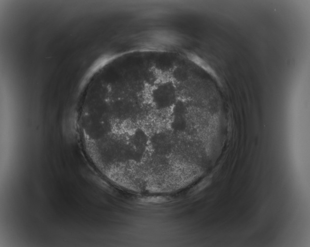 X0000082941454200703020117