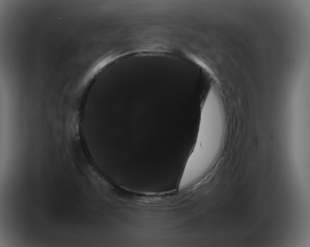 X0000082941455200703020117