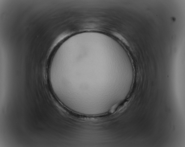 X0000082941458200703020117