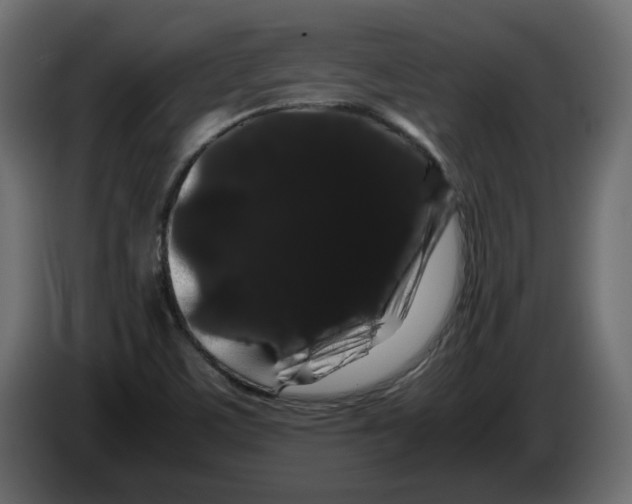 X0000082941459200703020117