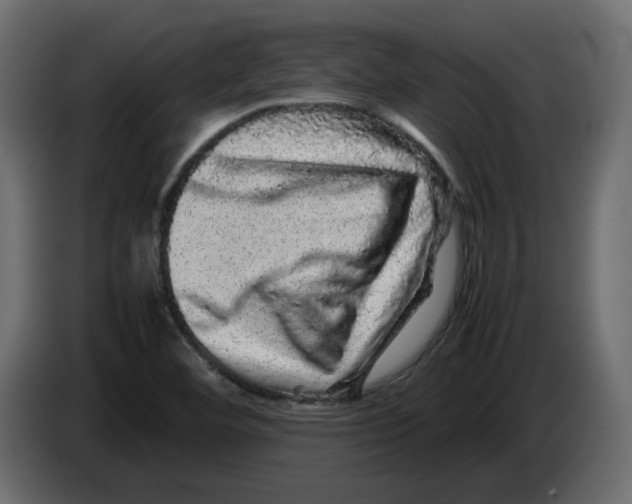 X0000082941460200703020117