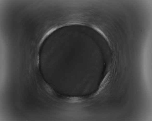 X0000082941461200703020117