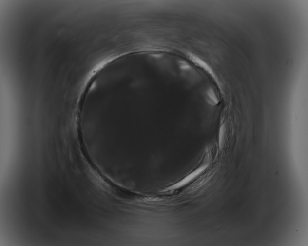 X0000082941463200703020116