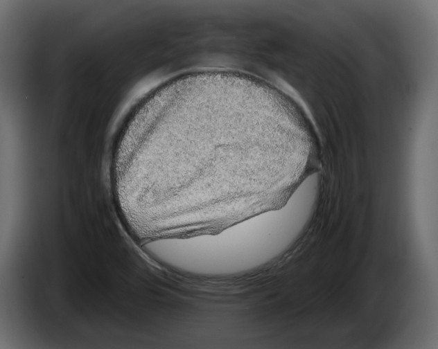 X0000082941464200703020116