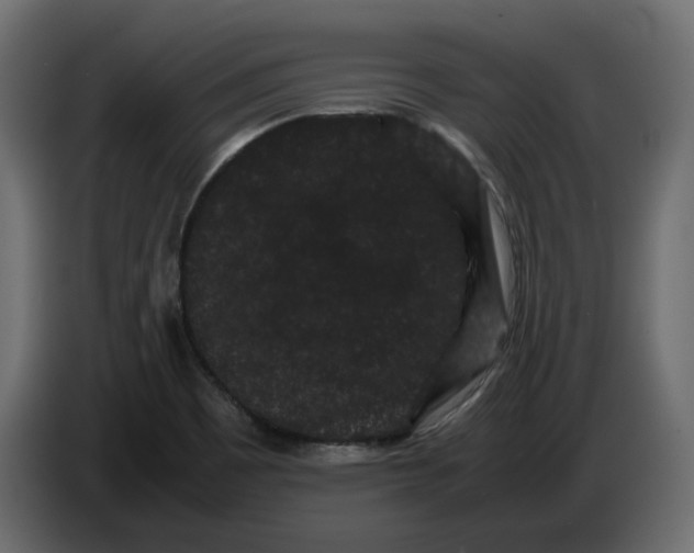 X0000082941465200703020116