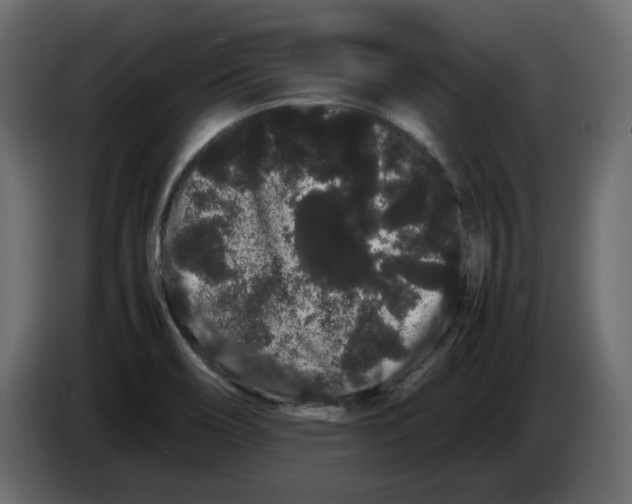 X0000082941466200703020116