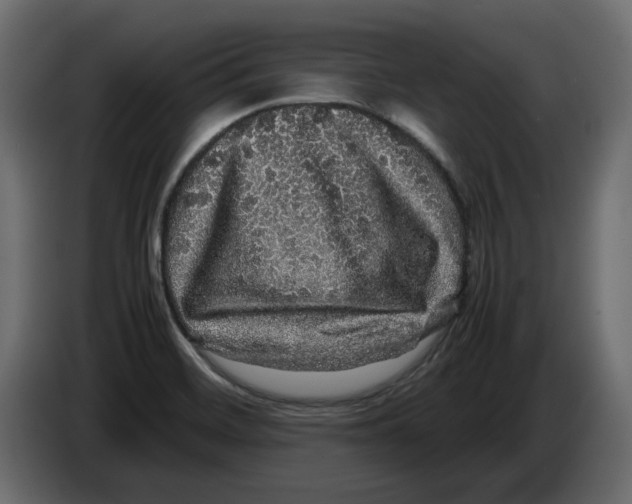 X0000082941468200703020116