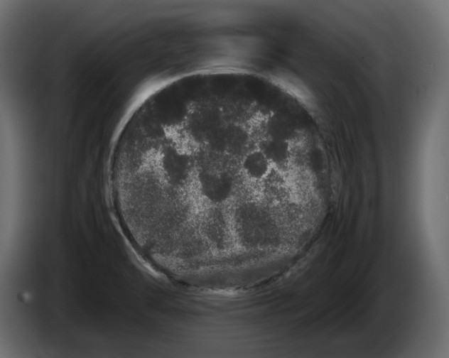 X0000082941470200703020116