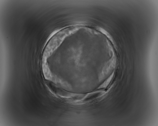 X0000082941473200703020116