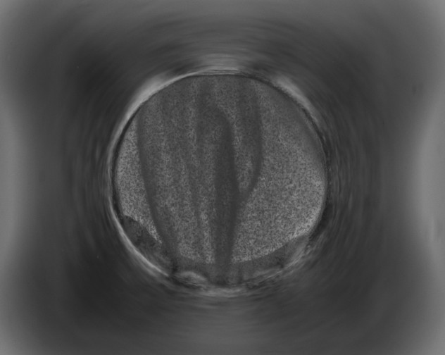 X0000082941475200703020116