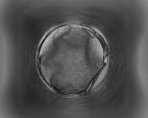 X0000082941477200703020116