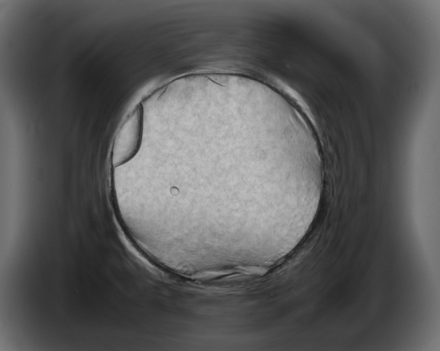 X0000082941479200703020116