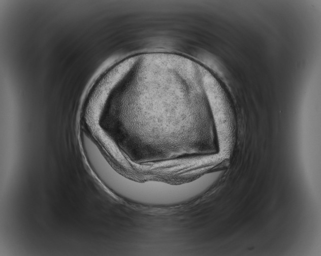 X0000082941480200703020116