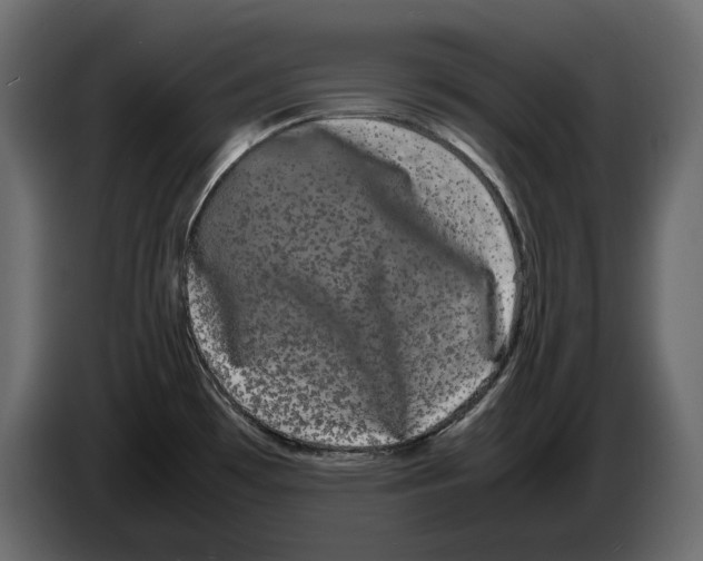 X0000082941481200703020116