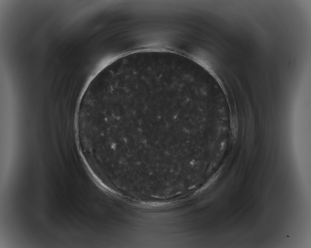 X0000082941482200703020116