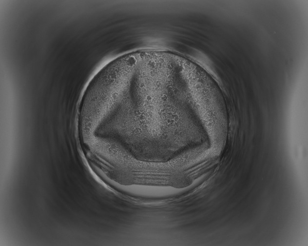 X0000082941484200703020116