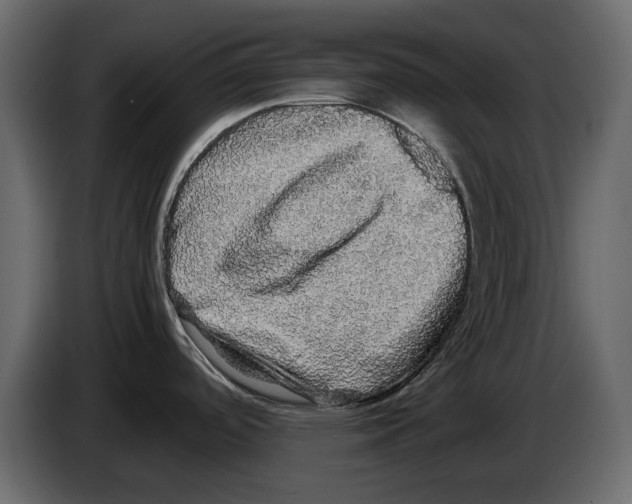 X0000082941488200703020116