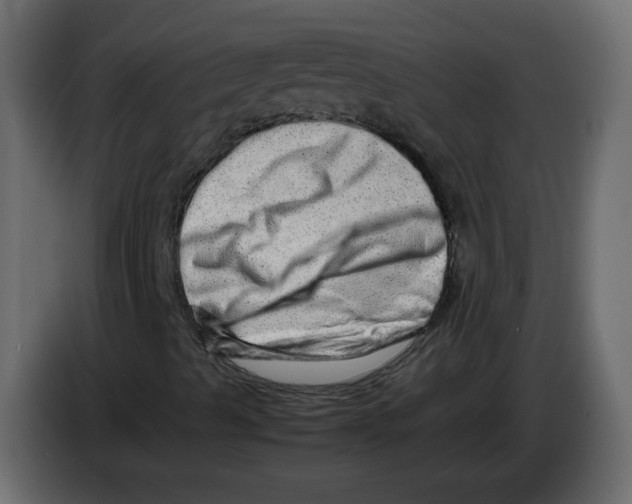 X0000082941489200703020115