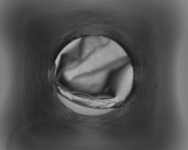 X0000082941490200703020115