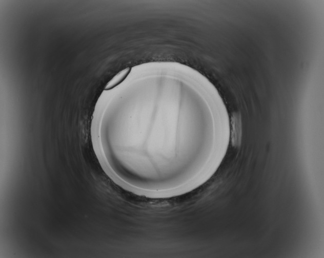 X0000082941491200703020115