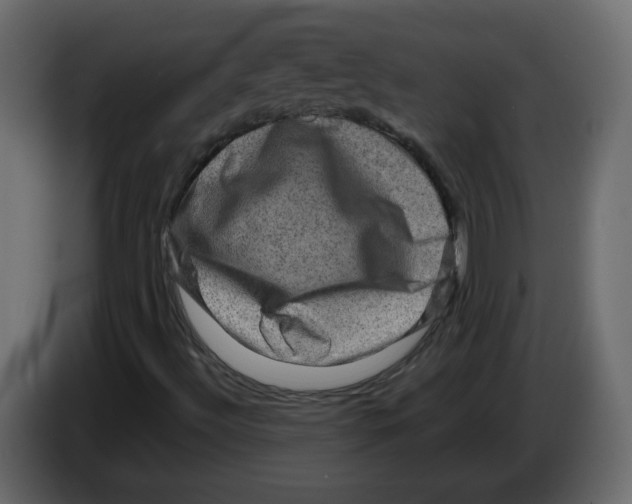 X0000082941492200703020115