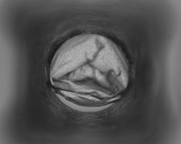 X0000082941493200703020116