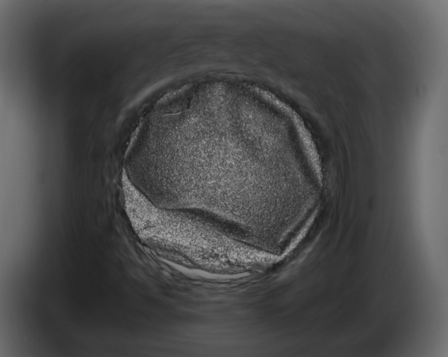 X0000082941494200703020116