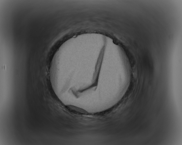 X0000082941495200703020116