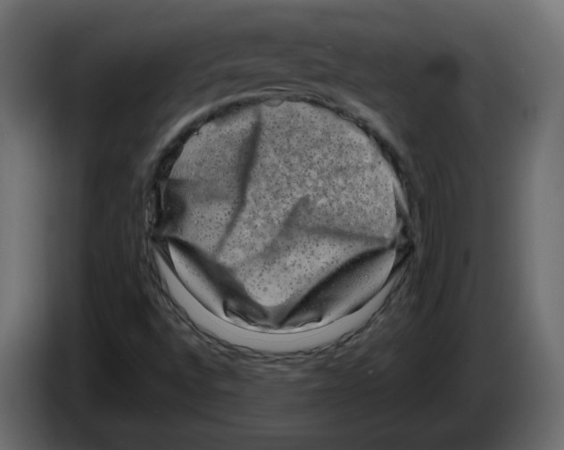 X0000082941496200703020116