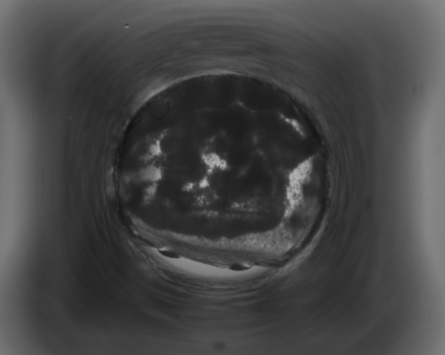 X0000082941497200703020116