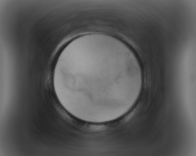 X0000082941498200703020116