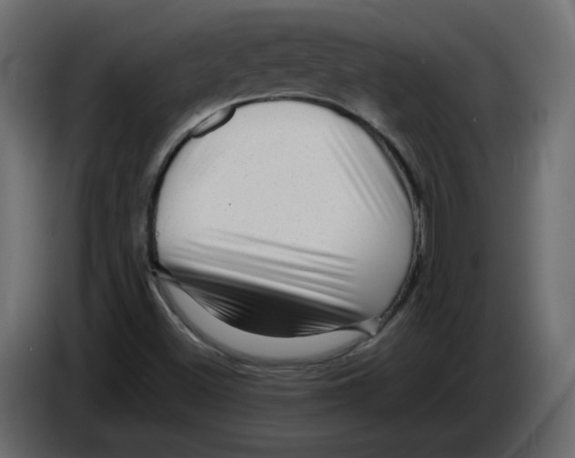 X0000082941500200703020116