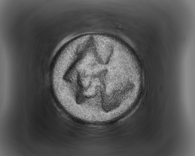 X0000082941501200703020116