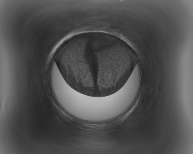 X0000082941502200703020116