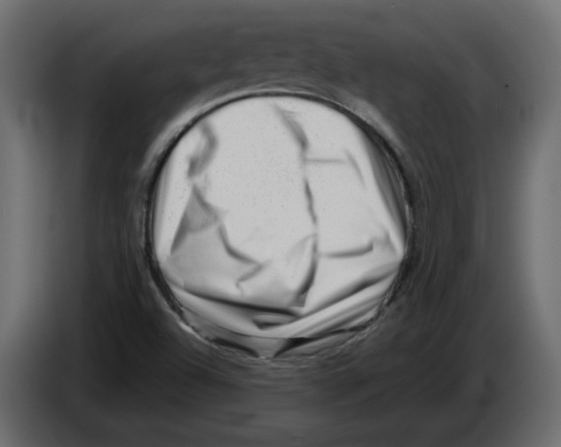 X0000082941504200703020116