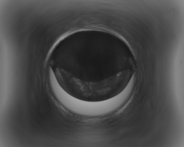 X0000082941506200703020116