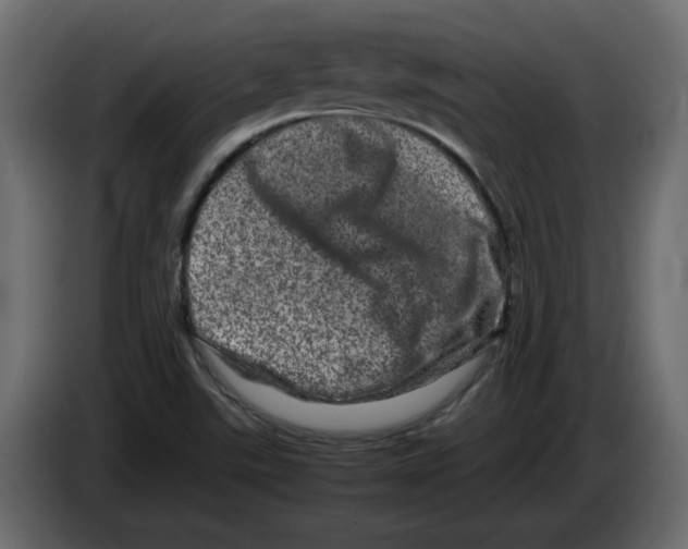 X0000082941507200703020116