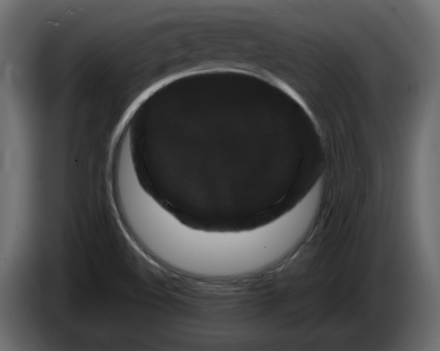 X0000082941508200703020116