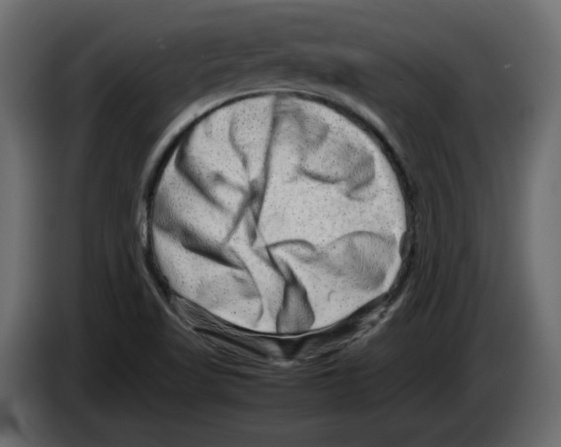 X0000082941509200703020116