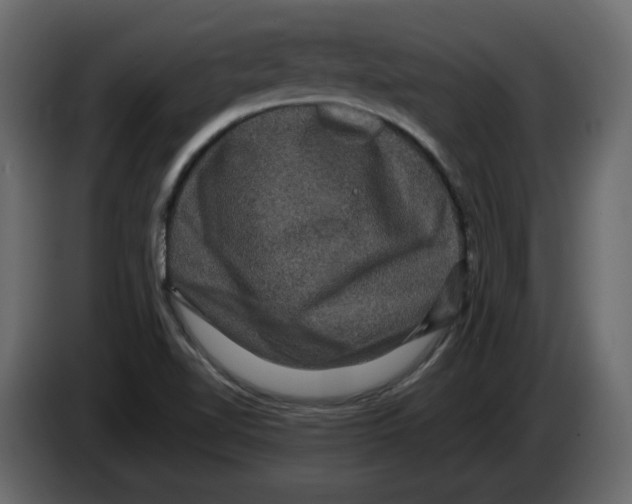 X0000082941510200703020116