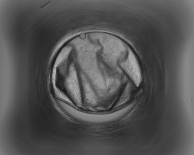 X0000082941511200703020116