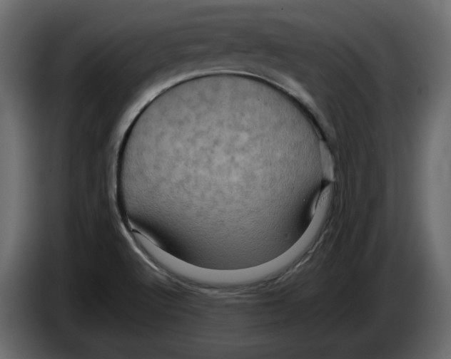 X0000082941512200703020116