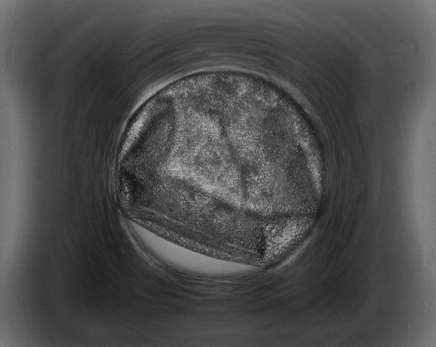 X0000082941513200703020116