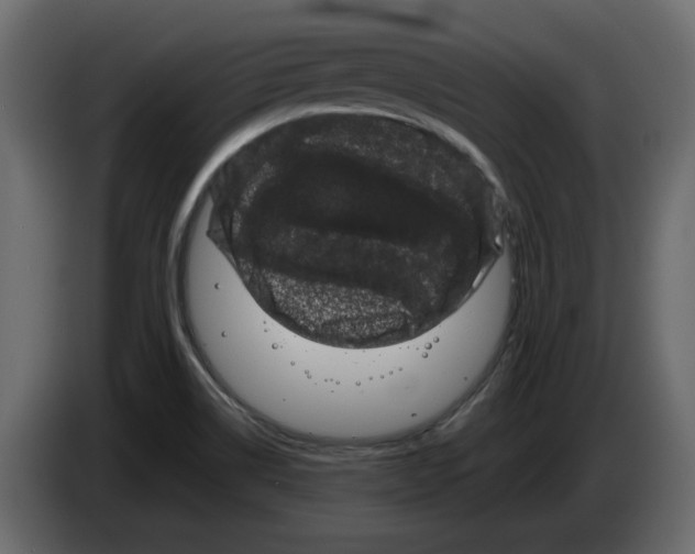 X0000082941514200703020116