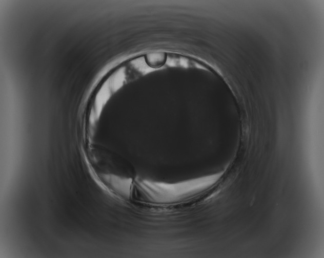 X0000082941515200703020116