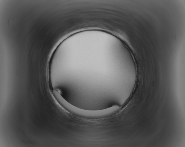 X0000082941516200703020116